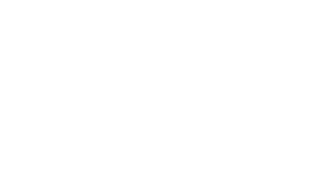 Meta Tech Provider